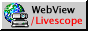 WebView